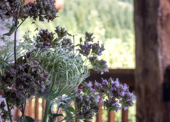 La Vera Casa Di Mosè Chalet *